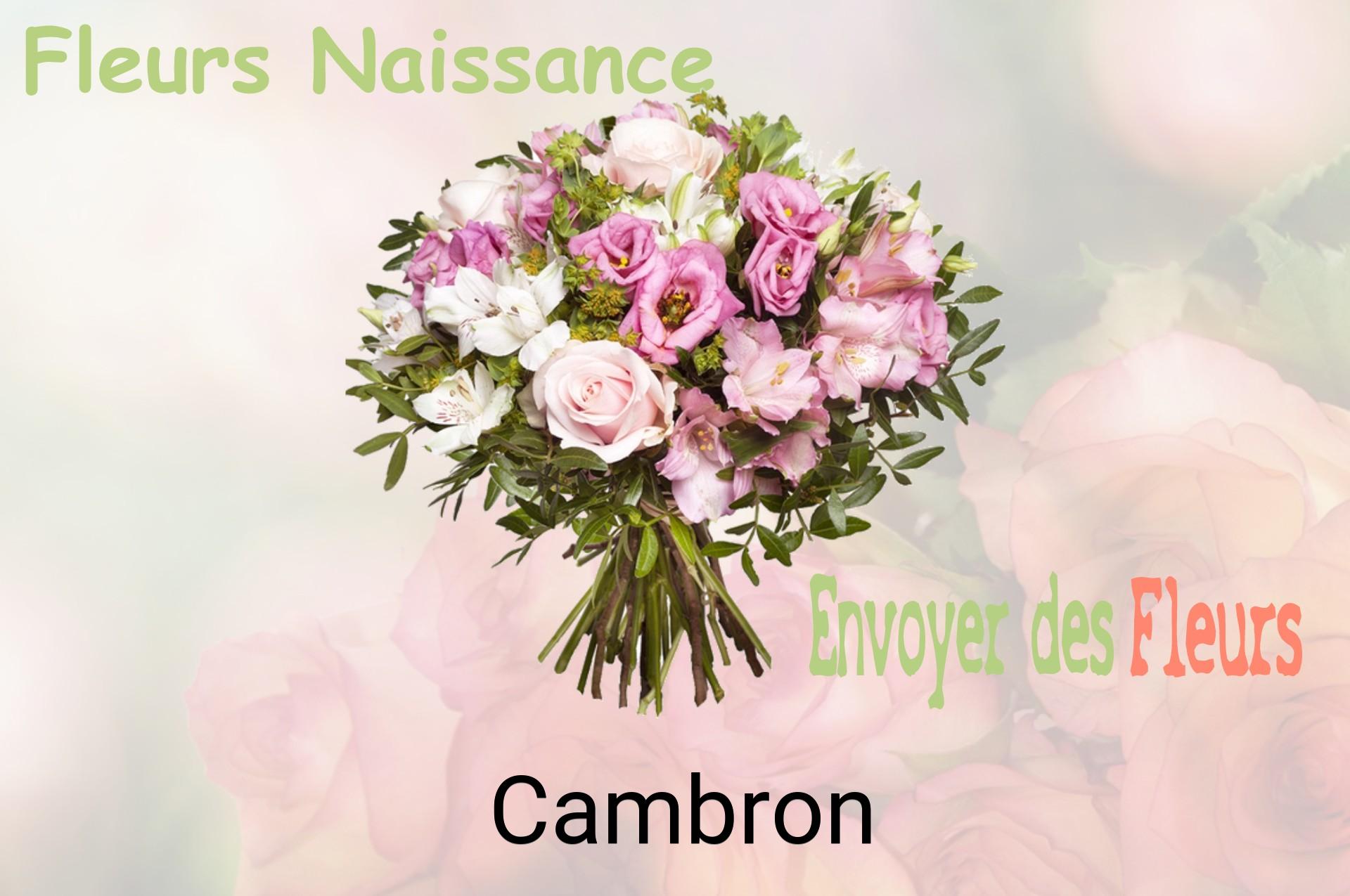Bouquet de fleurs de naissance livré à Cambron